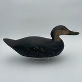 Mason premier black duck