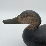 Mason premier black duck