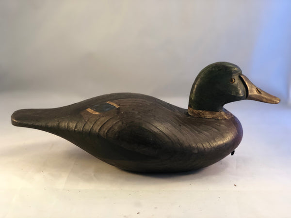 Mallard Drake – Unlimited Ducks