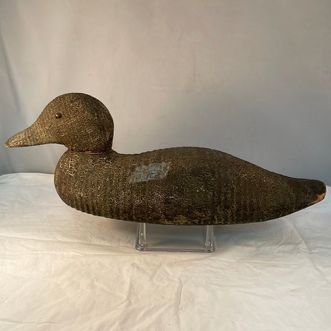 Redhead Hen by the Animal Trap Company