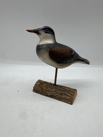 Killdeer