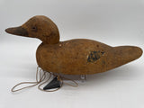 Hudson Mallard Hen