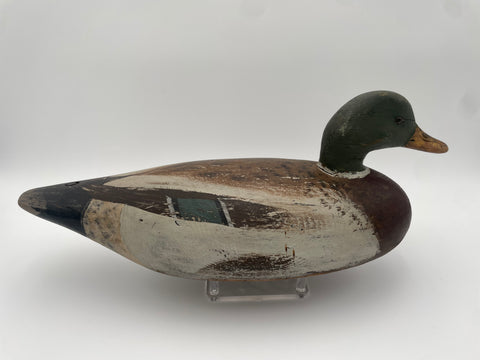 Vintage Mallard Drake