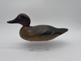 Mason green wing teal