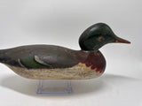 Mason Mallard drake