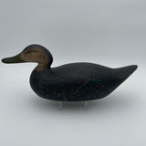 Mason premier black duck