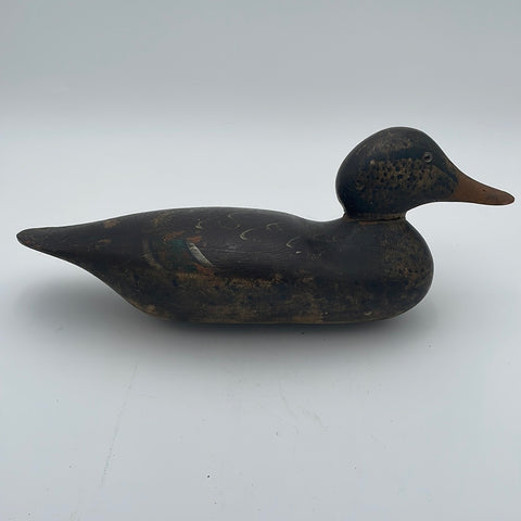 Mason hen mallard