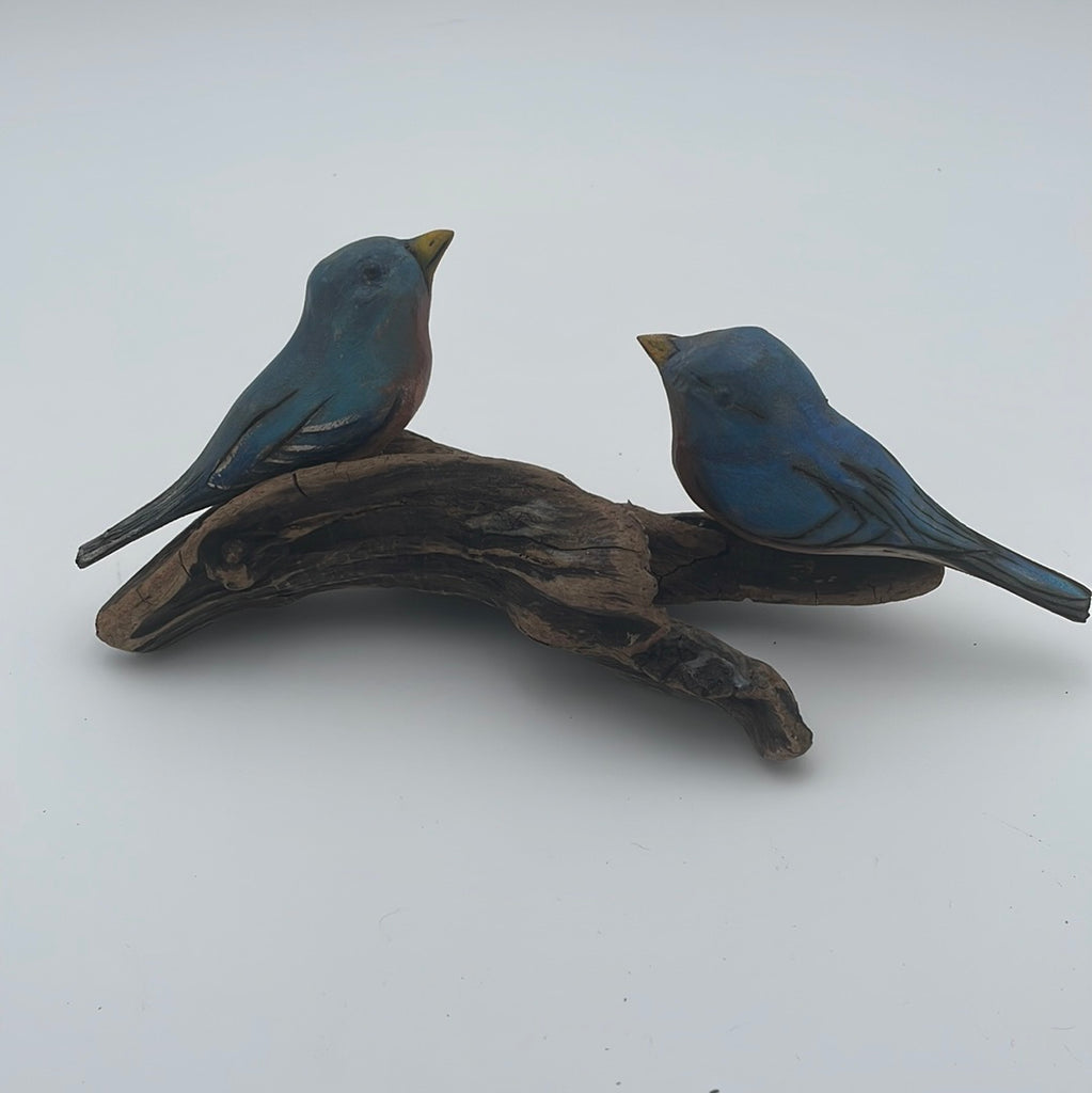 Bluebird duo