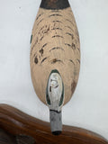 Widgeon Drake