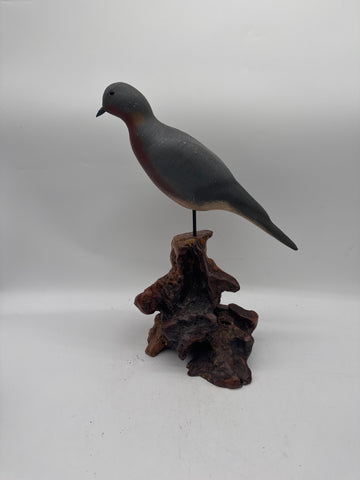 Herters passanger pigeon or dove