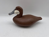 Ruddy duck
