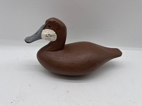 Ruddy duck