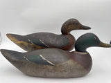 Mason challenge grade mallard pair