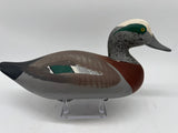 Widgeon drake