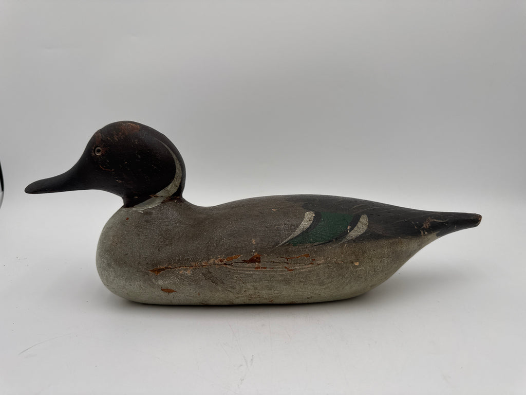 DUCKS deals UNLIMITED DRAKE PINTAIL DECOY