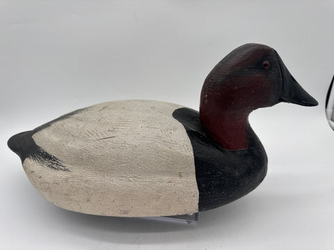 Drake Canvasback