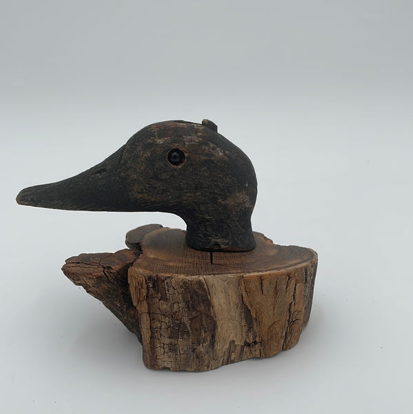 Canvasback carved head – Unlimited Ducks