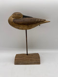 sleeping shorebird