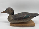 mason hen mallard