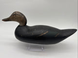 Mason challenge grade black duck