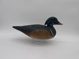 Wood duck drake