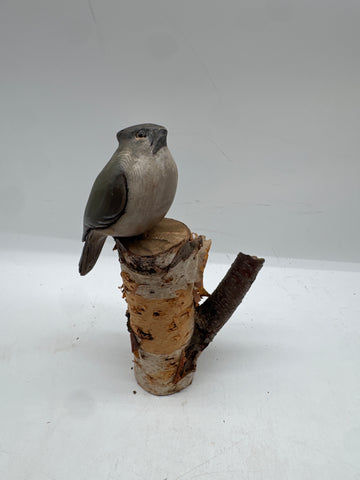 titmouse