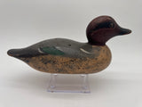 Mason green wing teal