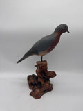 Herters passanger pigeon or dove