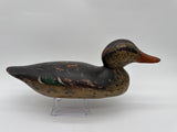 Mason standard grade tac eye hen mallard