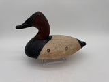 canvasback drake