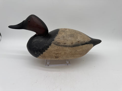 Mason Premier canvasback Drake