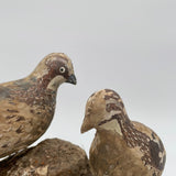 Antique quail decoys