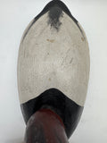 Drake Canvasback