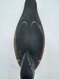Wood duck drake