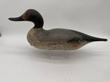Mason pintail drake in challenge grade