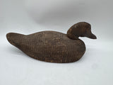Mallard hen