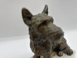 bronze scottie