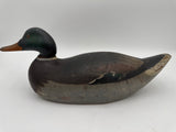 EARLY Mason premier mallard drake