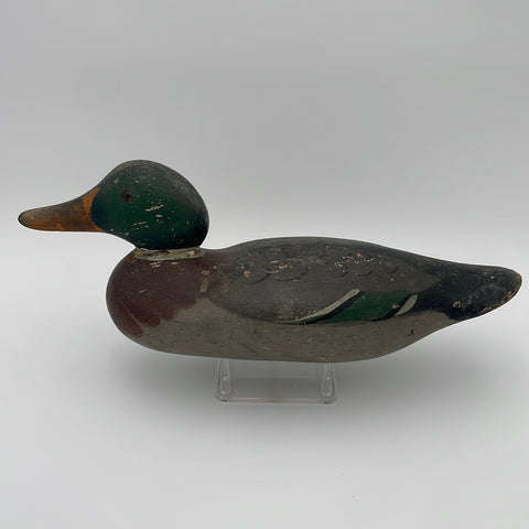 Mason Standard Grade Mallard Drake
