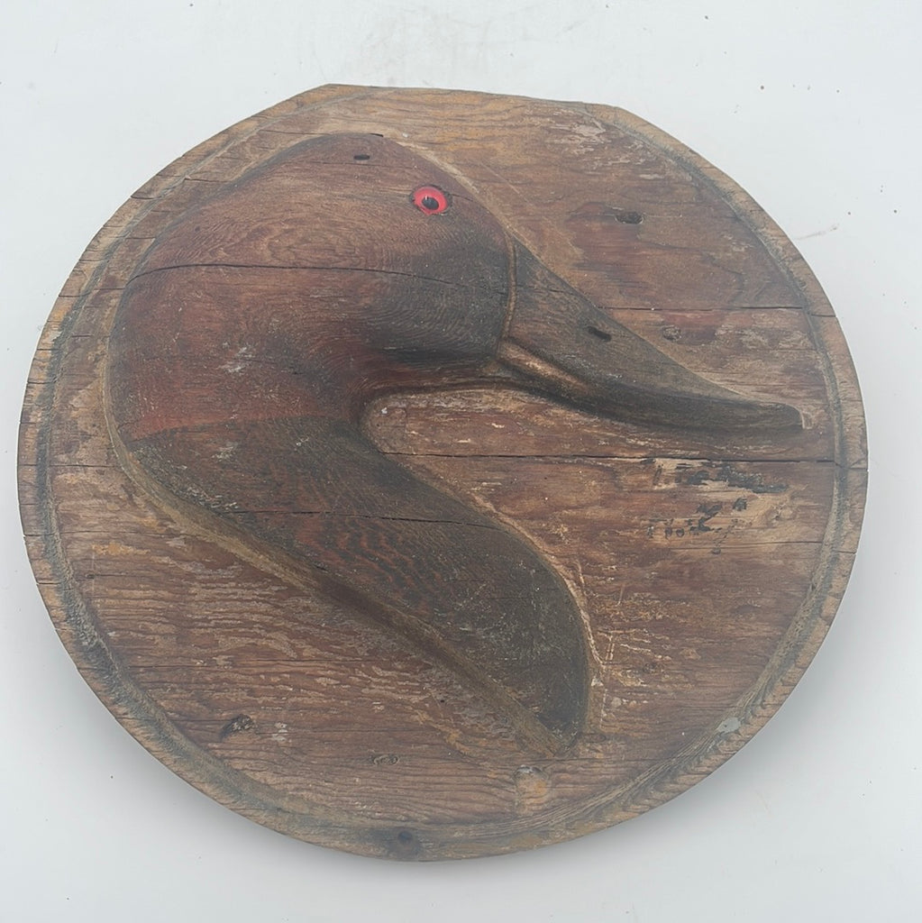 Canvasback plaque