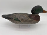 Mason standard grade mallard drake