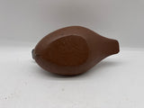 Ruddy duck