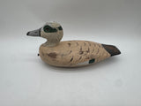 Widgeon Drake