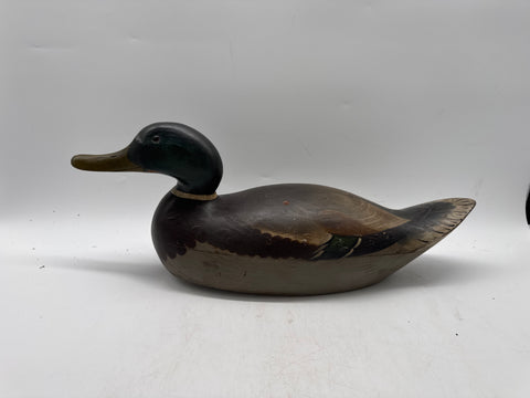 Mason premier mallard drake