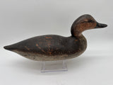 Mason Co. Pintail hen challenge grade