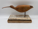 wimbrell shorebird