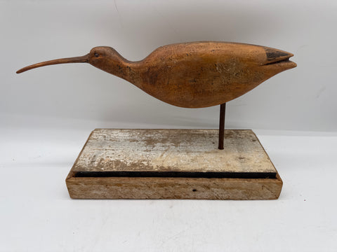 wimbrell shorebird