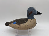 Blue winged teal drake