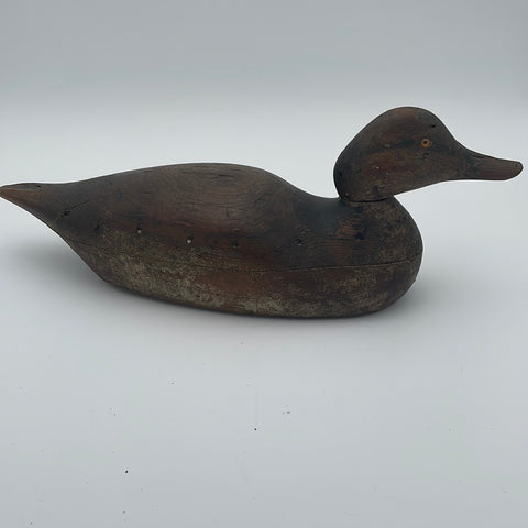 Mason premier hen pintail