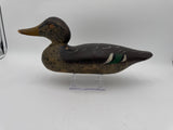 Mason standard grade mallard hen